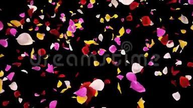 飞翔着浪漫的、生机勃勃的、五颜六色的玫瑰花瓣飘落着阿尔法分离回路